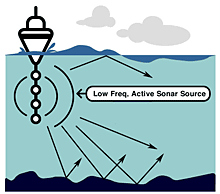 diagram sonar